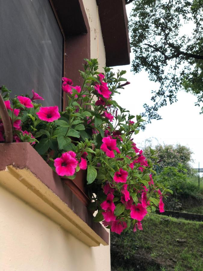 Casa Rural En Plena Naturaleza Lic Uvtr1524 Eguillor ภายนอก รูปภาพ