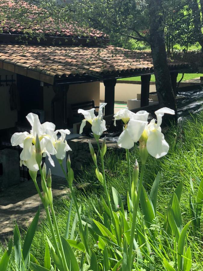 Casa Rural En Plena Naturaleza Lic Uvtr1524 Eguillor ภายนอก รูปภาพ