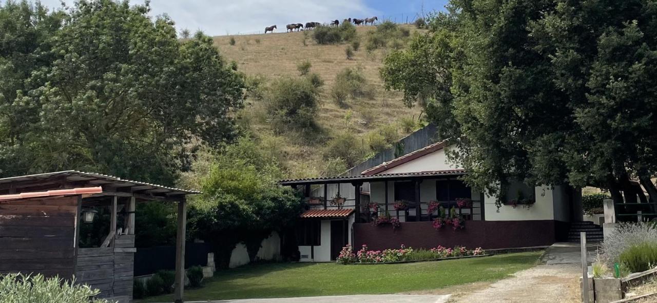 Casa Rural En Plena Naturaleza Lic Uvtr1524 Eguillor ภายนอก รูปภาพ